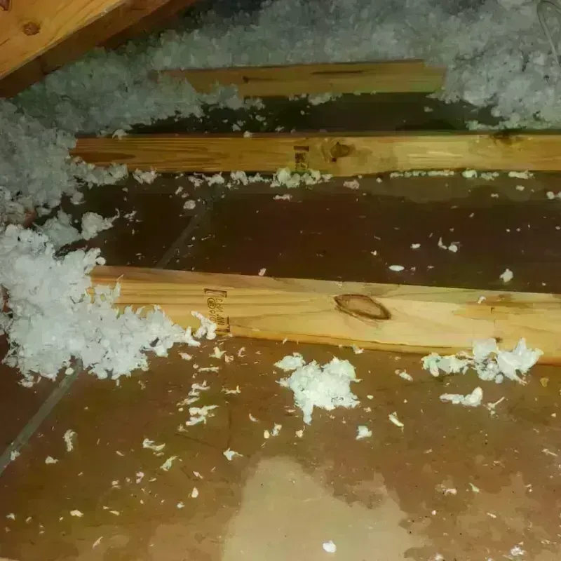 Attic Water Damage in Brusly, LA