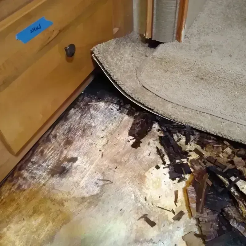 Wood Floor Water Damage in Brusly, LA